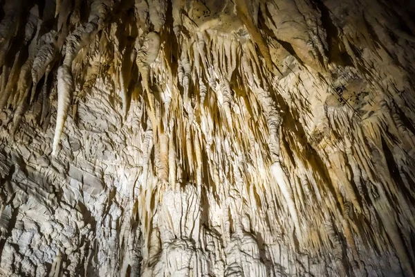 新西兰萤火虫洞穴魔岩层 — 图库照片