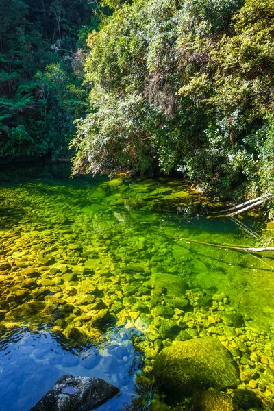 Río Abel Tasman Coast Track Parque Nacional Nueva Zelanda — Foto de Stock