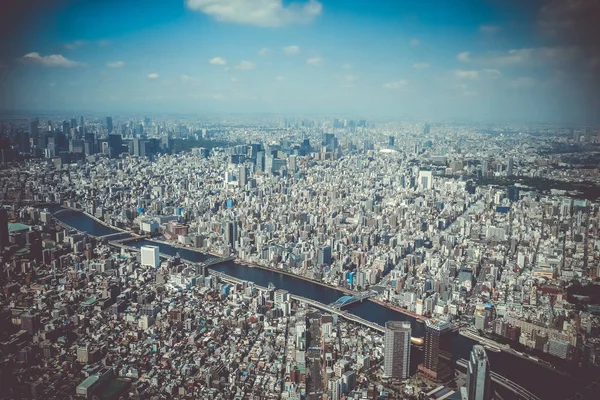 Tokyo City Skyline Panorama Ptaka Japonia — Zdjęcie stockowe