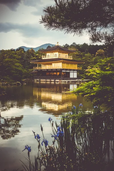 Pabellón Del Templo Oro Kinkaku Kyoto Japón —  Fotos de Stock