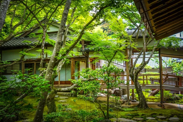 Jojakko Przybytek Las Bambusowy Arashiyama Kyoto Japonia — Zdjęcie stockowe