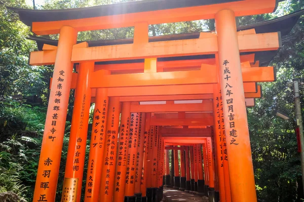 Fushimi Inari Taisha Torii Scurine Kyoto Japan — стокове фото
