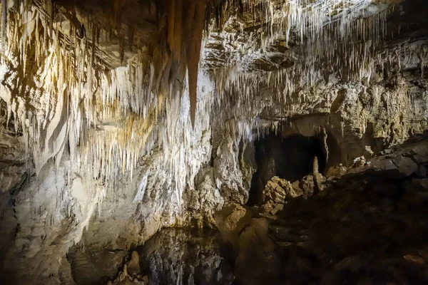 新西兰萤火虫洞穴魔岩层 — 图库照片