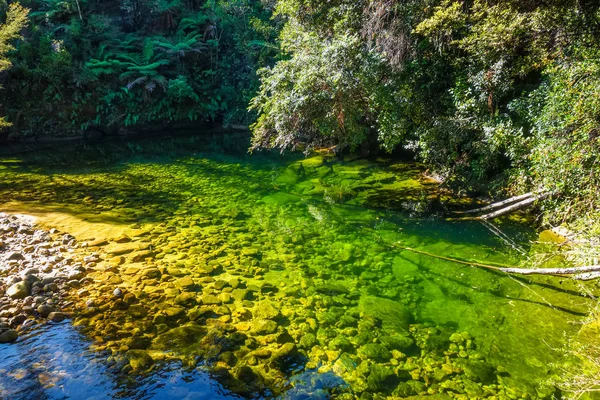 Río Abel Tasman Coast Track Parque Nacional Nueva Zelanda — Foto de Stock