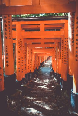 Fushimi Inari Taisha torii türbesi, Kyoto, Japonya