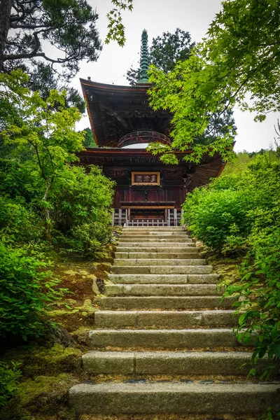 Jojakko Schrein Tempelpagode Arashiyama Bambuswald Kyoto Japan — Stockfoto