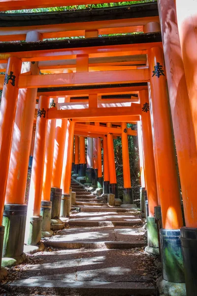 Fushimi Inari Taisha Torii Schrein Kyoto Japan — Stockfoto