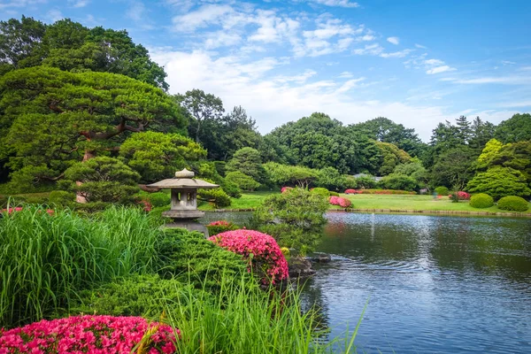 在日本 在东京新宿御苑国家花园 — 图库照片