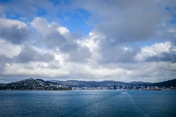 Wellington Θέα Στην Πόλη Από Θάλασσα Βόρειο Νησί Της Νέας — Φωτογραφία Αρχείου