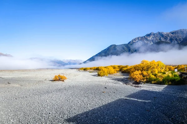 Mistige Woestijn Gele Forest Bergen Van Nieuw Zeeland — Stockfoto