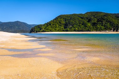 Abel Tasman Ulusal Park. Beyaz defne ve turkuaz deniz kum. Yeni Zelanda