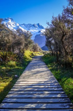Fahişe Vadisi parça, Aoraki Mount Cook, Yeni Zelanda