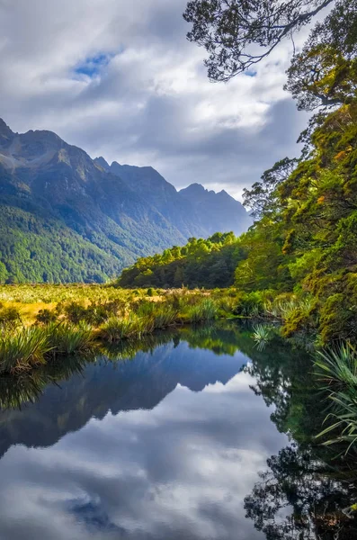 Λίμνη Της Fiordland Εθνικό Πάρκο Νέα Ζηλανδία Southland — Φωτογραφία Αρχείου