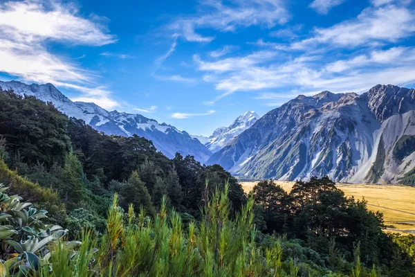 Aoraki Mount Cook Berglandschap Nieuw Zeeland — Stockfoto