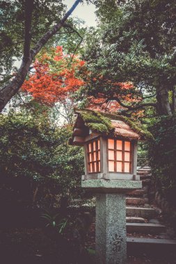 Lamba tapınak Jojakko-ji Tapınağı, Arashiyama bambu ormanı, Kyoto, Japonya