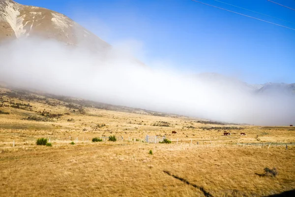 Campos Montaña Paisaje Los Alpes Nueva Zelanda —  Fotos de Stock