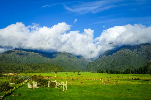 Νέα Ζηλανδία Εξοχή Και Βουνά Τοπίο — Φωτογραφία Αρχείου
