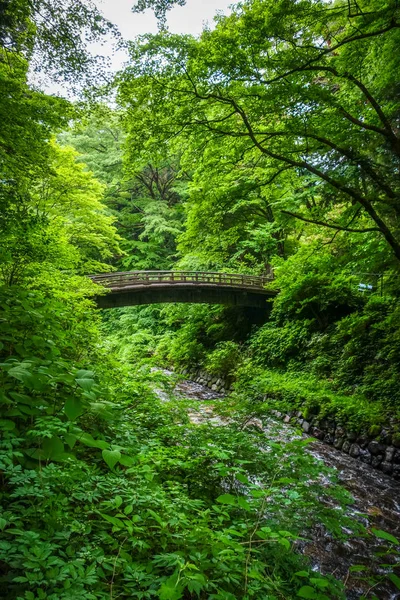 Tradycyjny Japoński Drewniany Most Ogrodzie Botanicznym Nikko Japonia — Zdjęcie stockowe