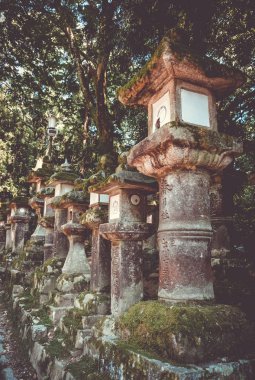 Kasuga-Taisha Tapınağı fenerleri sıra sıra, Nara Parkı, Japonya