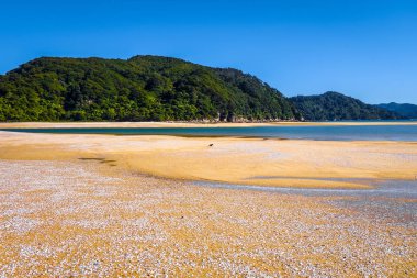 Abel Tasman Ulusal Park. Beyaz defne ve turkuaz deniz kum. Yeni Zelanda