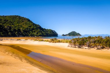 Abel Tasman Ulusal Park. Beyaz defne ve turkuaz deniz kum. Yeni Zelanda