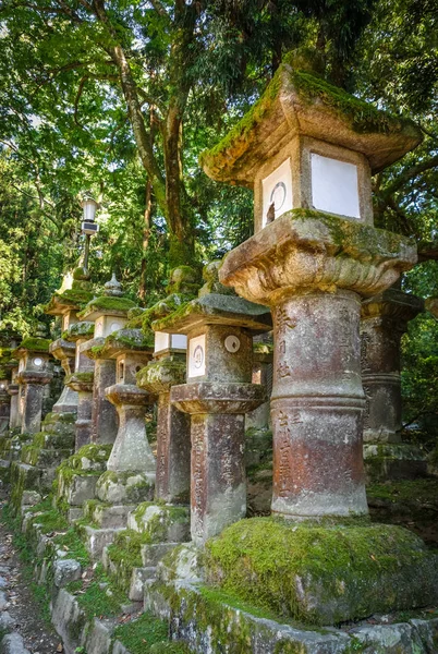 Ряды Фонарей Святилища Касуга Тайша Парк Нара Япония — стоковое фото