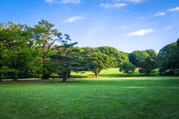 日本东京涉谷代代木公园花园 — 图库照片