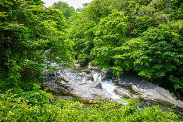 Sitio Abismo Kanmangafuchi Daiyagawa Río Nikko Japón — Foto de Stock