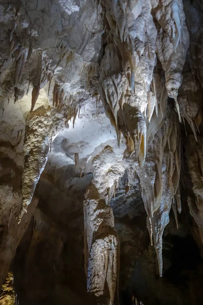 Waitomo kaya oluşumları ateş böceği mağaralara, Yeni Zelanda