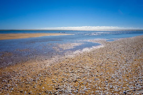 Spiaggia Desertica Nel Parco Nazionale Abel Tasman Nuova Zelanda — Foto Stock