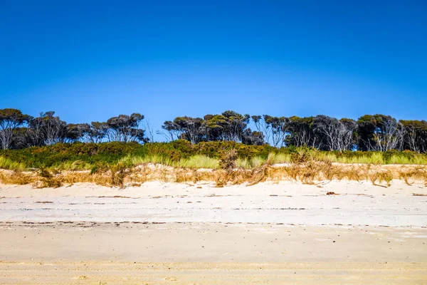 アベル タスマン国立公園内の砂丘 ニュージーランド — ストック写真