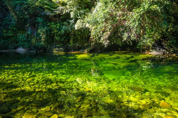 River Abel Tasman Coast Track National Park New Zealand — Stock Photo, Image