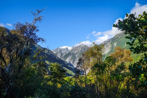 Franz Josef Παγετώνα Και Τροπικό Δάσος Τοπίο Νέα Ζηλανδία — Φωτογραφία Αρχείου