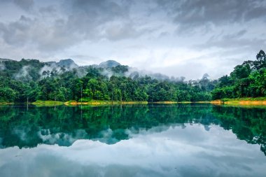 Sisli sabahı Cheow Lan Gölü Khao Sok Milli Parkı, Tayland