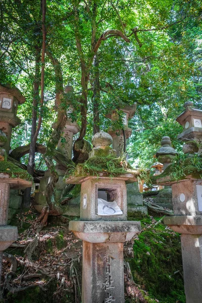 Kasuga Taisha Szentély Lámpák Sorok Nara Park Japán — Stock Fotó