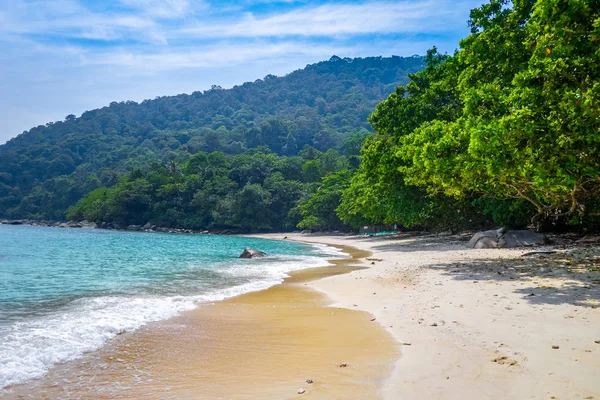 Черепаха Святилище Пляжі Perhentian Острова Тренгану Малайзія — стокове фото