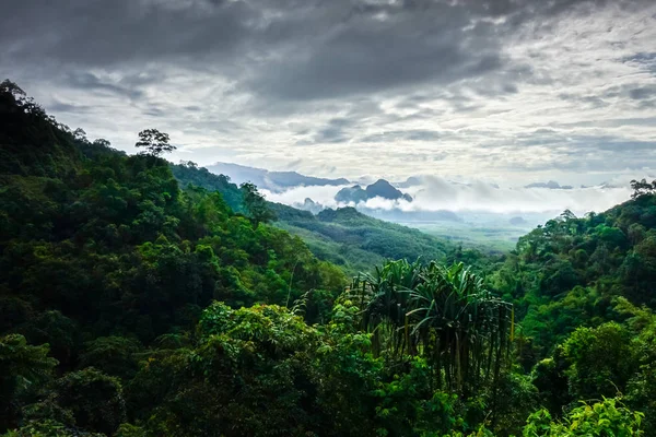 Khao Sok Nemzeti Park Dzsungel Táj Thaiföld — Stock Fotó