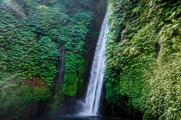 Cachoeira Coral Vermelho Munduk Bali Indonésia — Fotografia de Stock