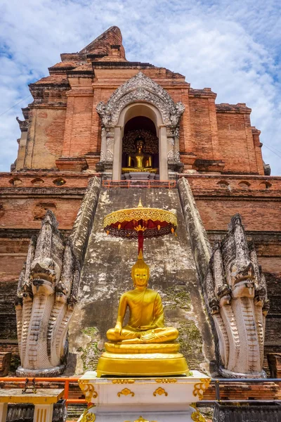 Altın Buddha, Wat Chedi Luang tapınak büyük Stupa Chiang Mai, Tayland