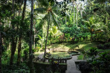 Gölet ve Goa Gajah fil ormanda Tapınağı, Bedulu, Ubud, Bali, Endonezya mağara