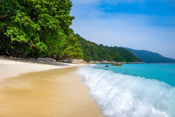 Χελώνα Sanctuary Beach Περέντιαν Νησιά Terengganu Μαλαισία — Φωτογραφία Αρχείου