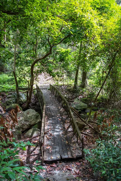 Stary Drewniany Most Lesie Dżungli Chiang Mai Tajlandia — Zdjęcie stockowe