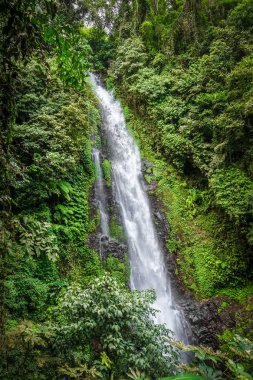 Munduk'taki Melanting Şelalesi, Bali, Endonezya