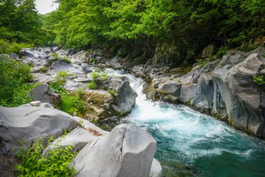 Kanmangafuchi uçuruma ücreti Daiyagawa nehir, Nikko, Japonya