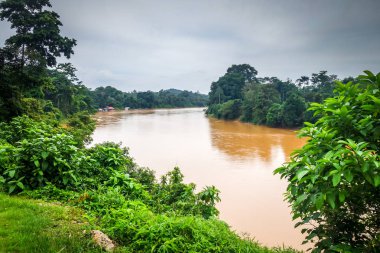 Nehir ve orman manzara Taman Negara Ulusal Park, Malezya