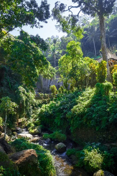 Snidade Stenar Gunung Kawi Begravningsurnor Tempel Tampaksiring Ubud Bali Indonesien — Stockfoto