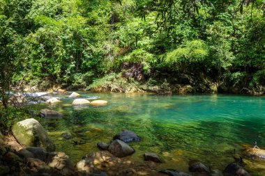 Nehir orman yağmur ormanlarında, Khao Sok Milli Parkı, Tayland