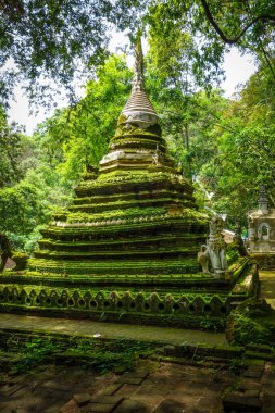 Wat Palad tapınağı ormanda, Chiang Mai, Tayland