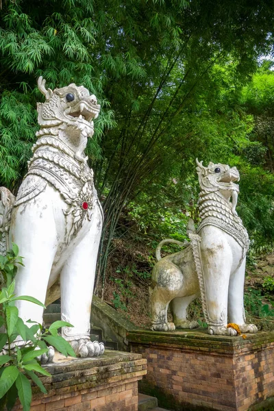 Dragon Statue Wat Palad Temple Chiang Mai Thailand — Stock Photo, Image