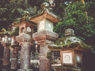 Kasuga-Taisha Tapınağı fenerleri sıra sıra, Nara Parkı, Japonya